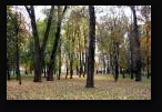 г. Минск, парк им. Горького, осень 2008 г. Парк.
