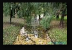 г. Минск, парк им. Горького, осень 2008 г. Ивы.