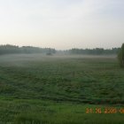 Дорога в Брест.